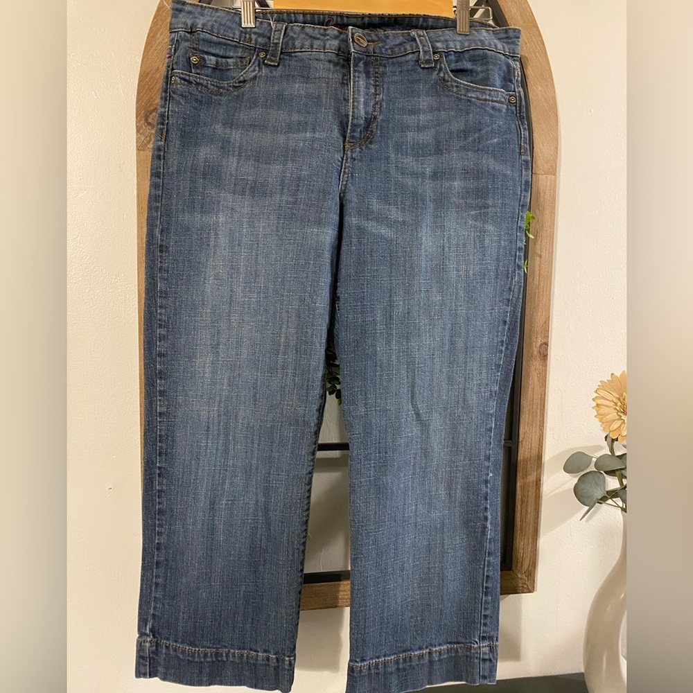 Blue Cropped Ankle Jeans with Flare